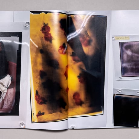 BILL MAGAZINE Issue 5
