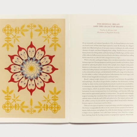 Volume 6: Daily Bread / Cake Zine