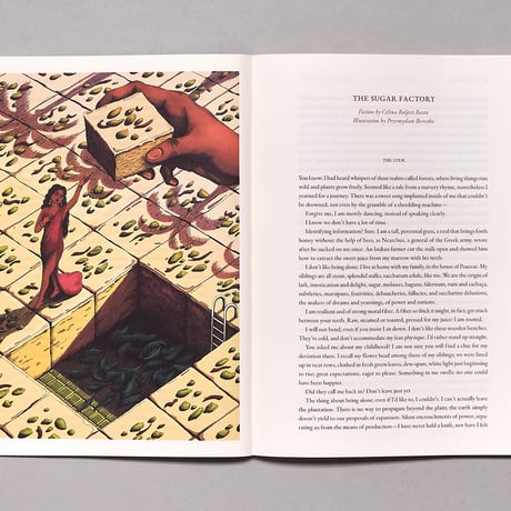 Volume 5: Candy Land / Cake Zine