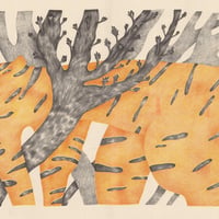 Tiger / Nadiia Zhelieznova
