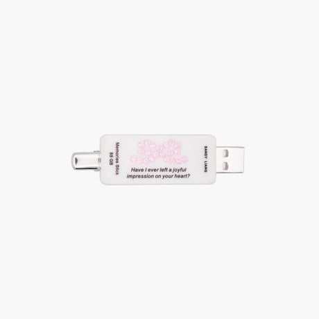 Memories USB Hairclip / Sandy Liang
