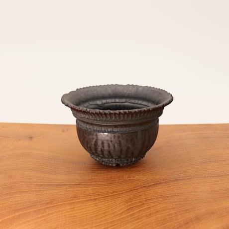 caudex | STORES