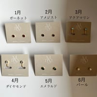 推せ推せアクセサリー(シルバー/ピアス)