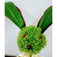 お参りの花(1対)　プラスα