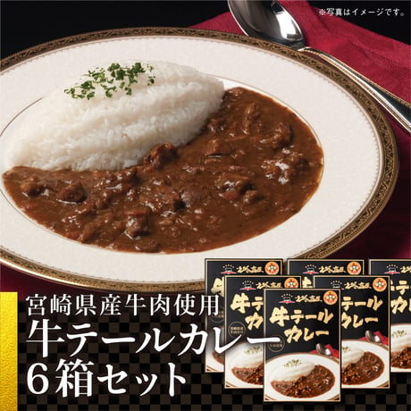 牛テールカレーセット　(常温品)