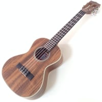 anuenue アヌエヌエ ウクレレ ロングネック ソプラノより大きいサイズ