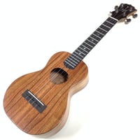KOALOHA(コアロハ)　 KCM-10RP 　コンサート　ハワイアンコア単板