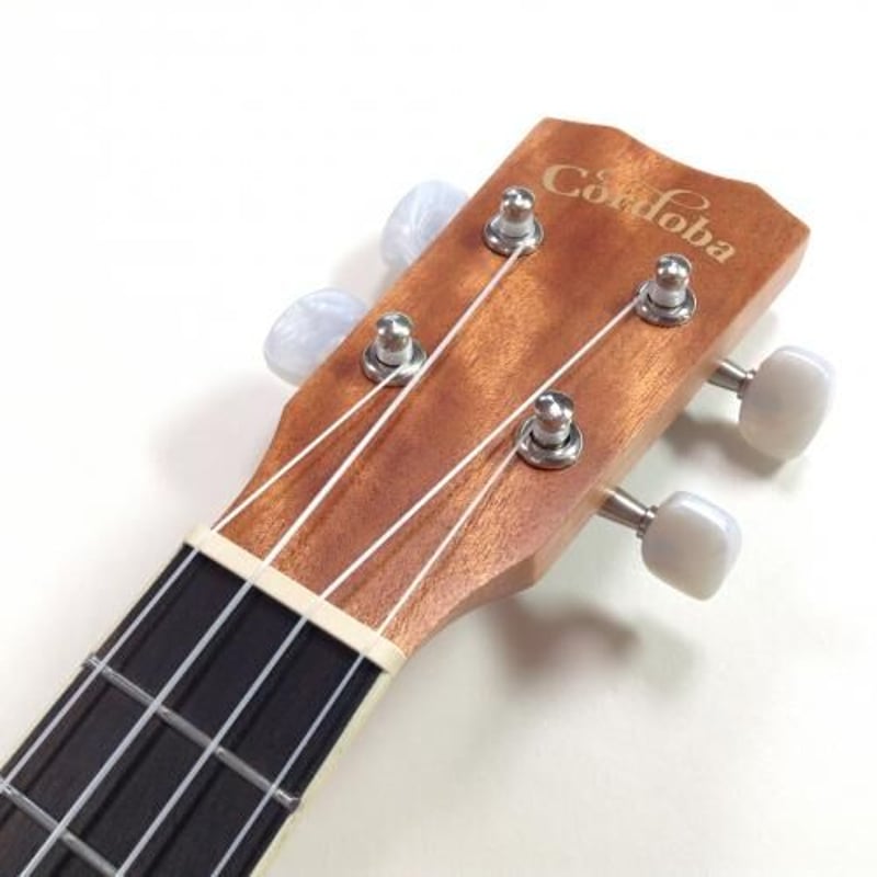 Cordoba(コルドバ) 15SM ソプラノウクレレ マホガニー | ウクレレ通販  