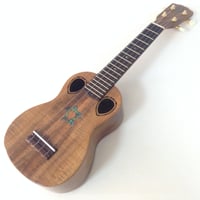 ウクレレ用プリアンプが凄い!Cogy Gust(コージー・ガスト) | ウクレレ