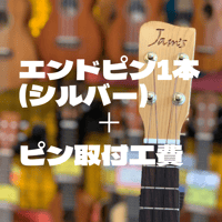 Cogy Gust PAS ウクレレエフェクター(プリアンプ) ウクレレ用プリアンプが凄い!Cogy Gust(コージー・ガスト) | ウクレレ