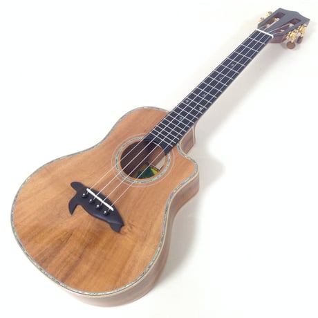 【入門セット】musicアカシアコア材のテナーウクレレ【ウクレレ専門店】 入門セット】musicアカシアコア材のテナーウクレレ【ウクレレ