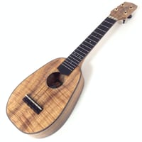 値下げ【美品】KALA KA-SSTU-T トラベルテナーウクレレ The Ukulele Site | Kala SSTU-T Tenor travel ukulele