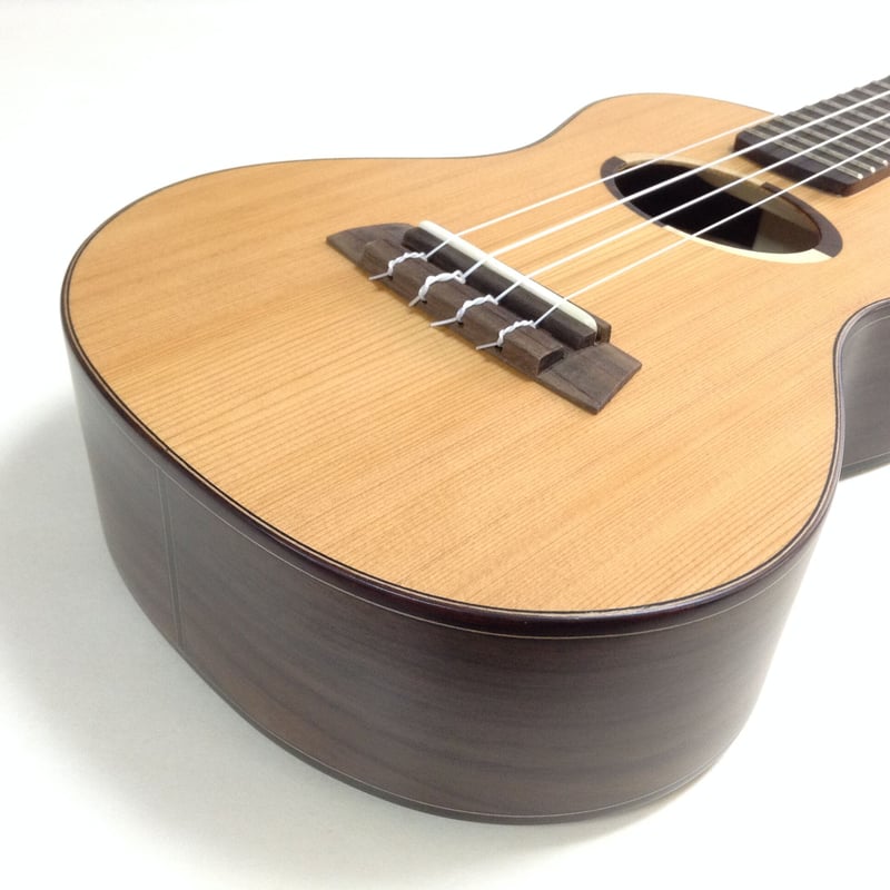 KALA KA-JH-MHG-C James Hill Solid Top Mahogany Concert Ukulele