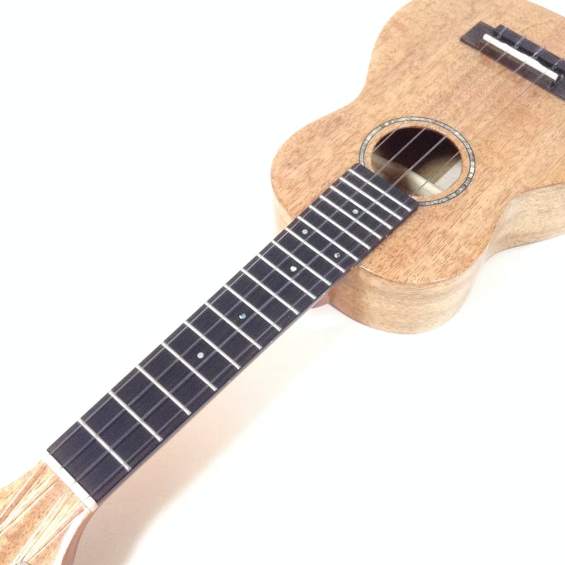 DCT KOKOMO-5 ソプラノウクレレ マンゴー単板 | ウクレレ通販 ジャムズ