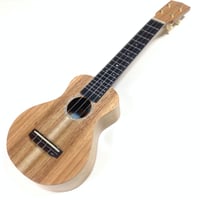 millar(ミラー) CD-240W-1 コンサートウクレレ シダー単板 ローズウッド