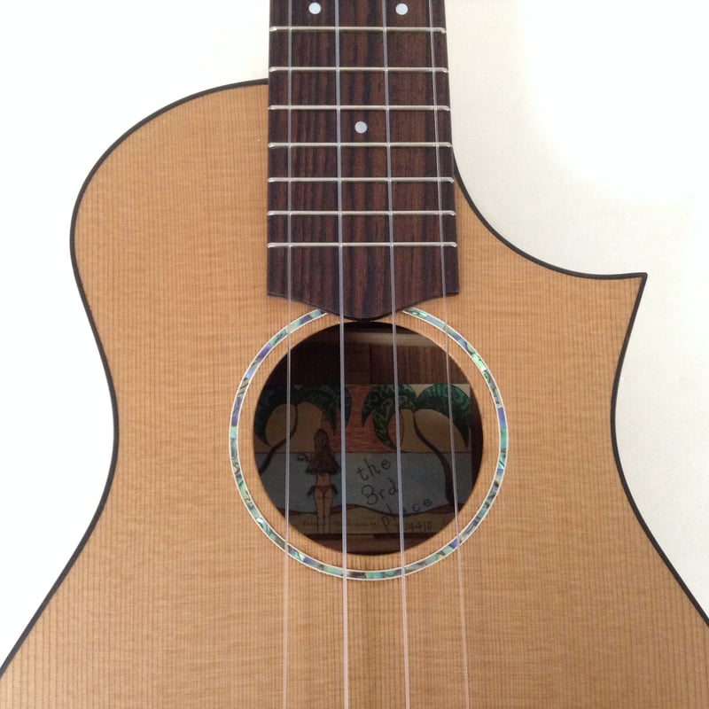 限定1本】四弦舎 #24410 レッドシダー&インドローズウッド単板