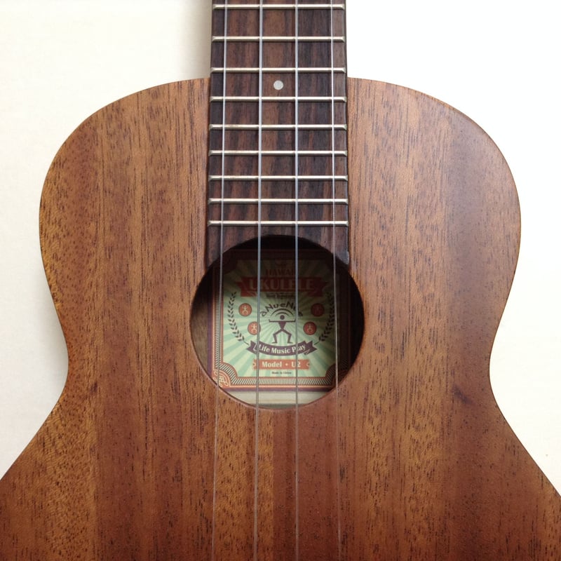 aNueNue(ア・ヌエヌエ) aNN-U2 コンサートサイズウクレレ マホガニー材