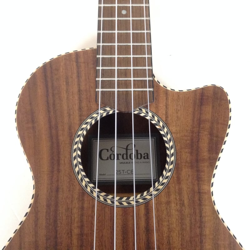 Cordova ウクレレ ピックアップ付き バッグ付き