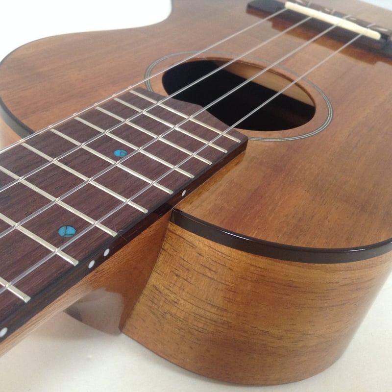 FUJIGEN(フジゲン) FUS-TT-03 #23C0005 テナーウクレレ ハワイア