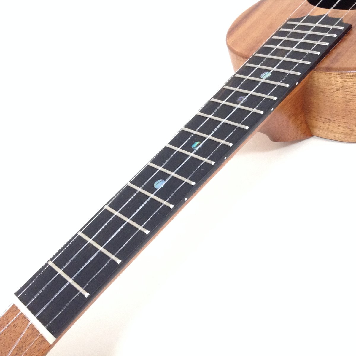 KoAloha(コアロハ) KCM-00 コンサート ハワイアンコア単板 専用ハード 