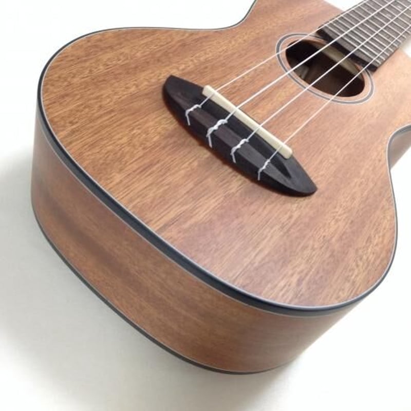 ANUENUE MINIC MAHOGANY ウクレレ ミニ・コンサートウクレレ】aNueNue Ukulele Mini Mahogany aNN