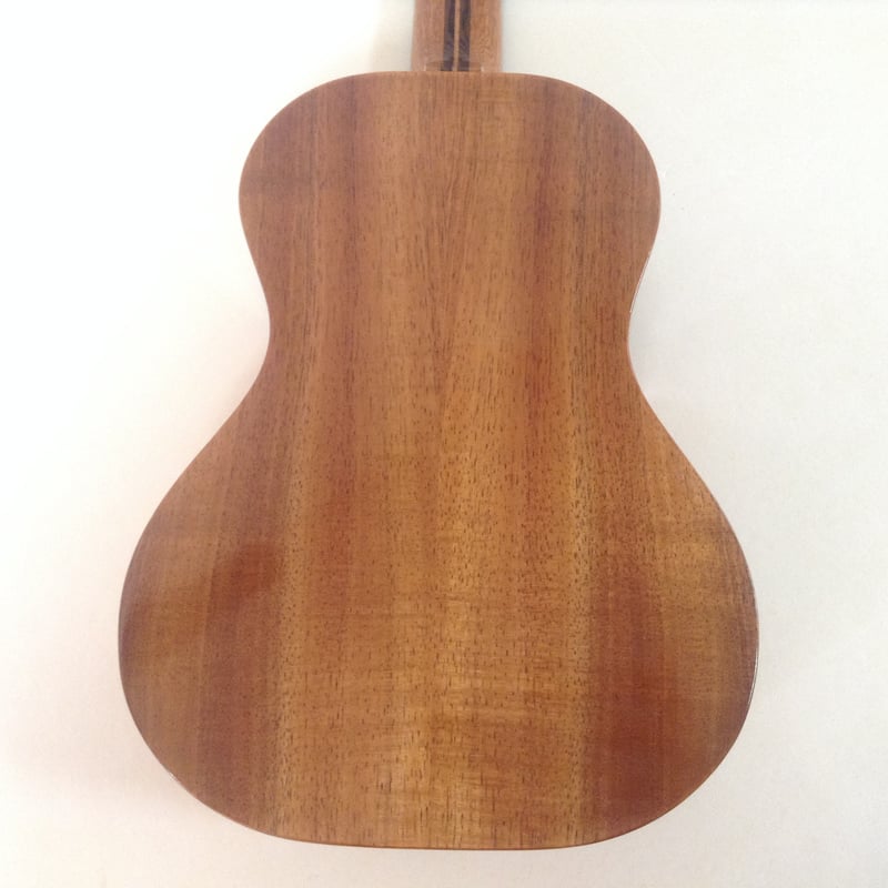 Stars & Strings SS－C10 OR フジゲン製エレアコ YAMAHA（ヤマハ） 今なら替え弦が付いてくる!1/25まで オール単板