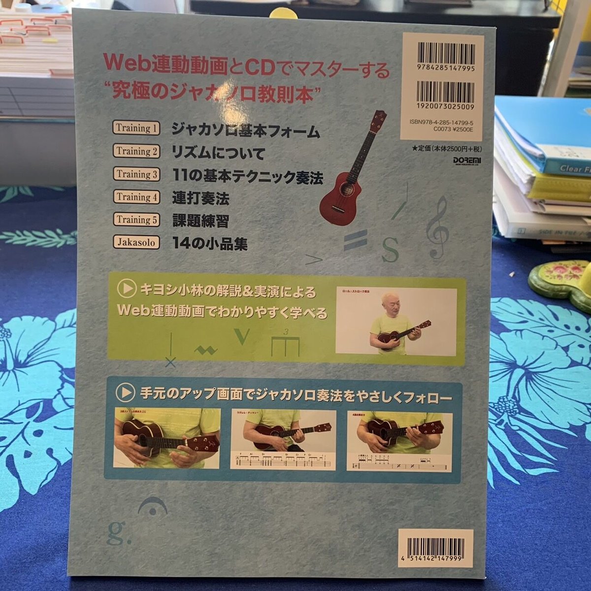 ギター弾き語り入門講座(がくぶん社通信講座)