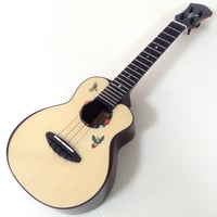aNueNue(ア・ヌエヌエ)　 aNN-UC200HB 　コンサートウクレレ　ムーンスプルース×インドローズウッド単板　ハミングバード　蜂鳥