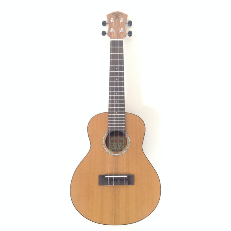 aNueNue(ア・ヌエヌエ) aNN-C4 コンサートウクレレ シダー×アカシア