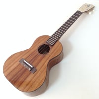 FUJIGEN(フジゲン)   FUS-TT-LG/01 #23J0037　テナーウクレレ　ハワイアン単板 日本製　Low-G仕様
