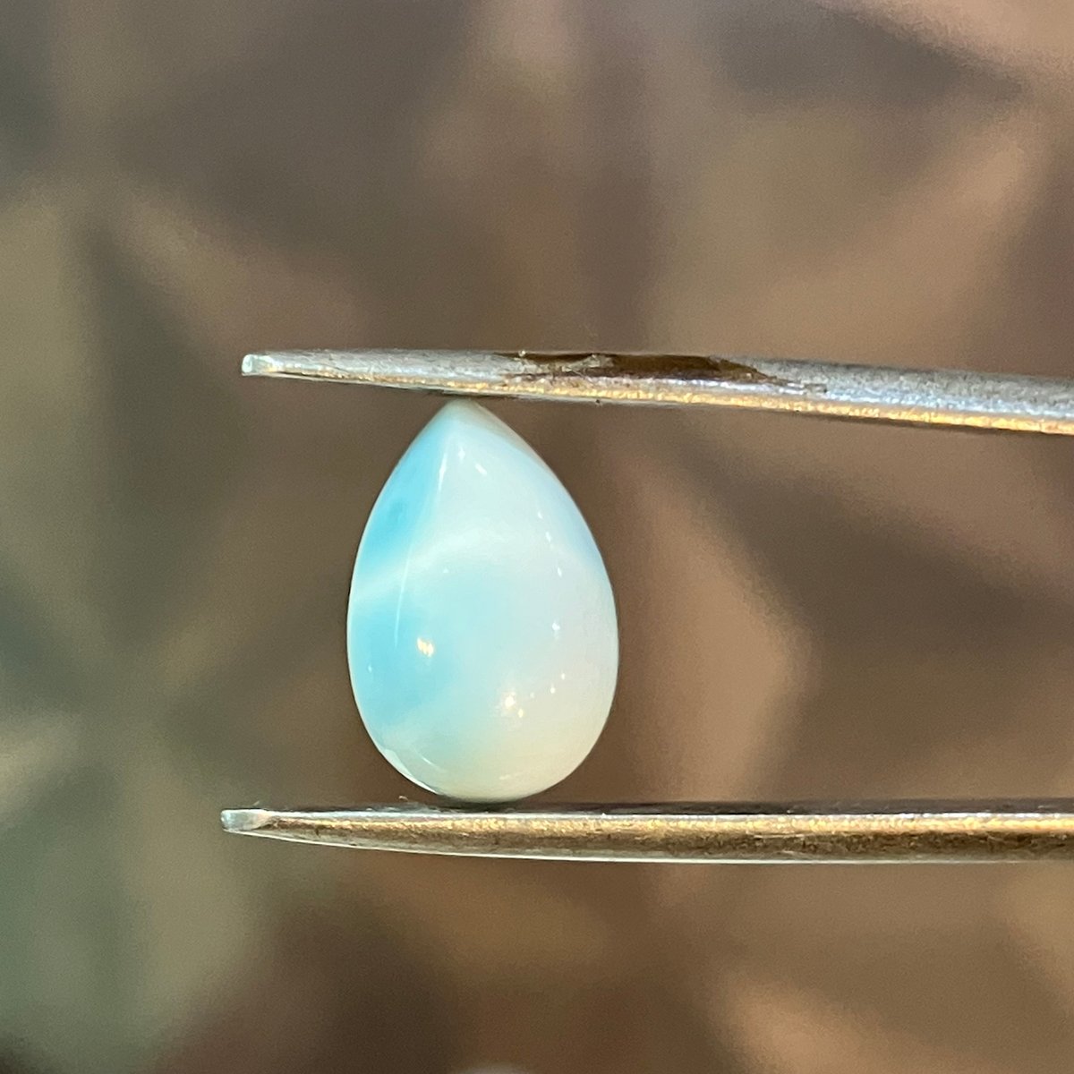 ラリマー C 大特価！ラリマールース C | asterisk