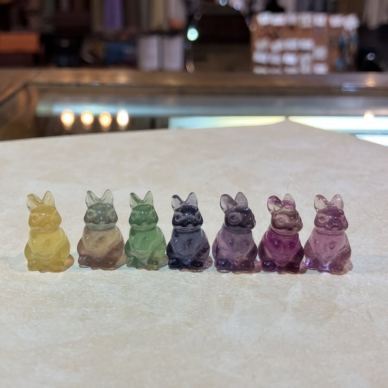 ウサギ ネザーランドドワーフ No.825 家族が決まりました 販売ベビー