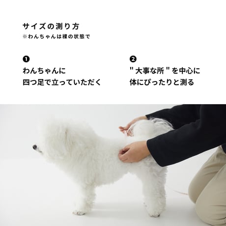 ビションのマナーベルト
