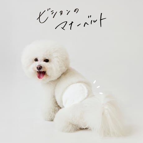 ビションのマナーベルト