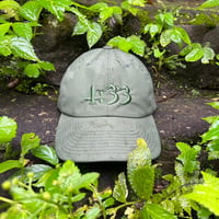 GARBAGE PRE CURVE BRIM 6 PANEL CAP (4:33) Olive x Olive