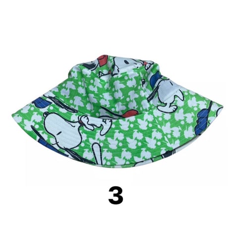 SALE geek Remake Hat