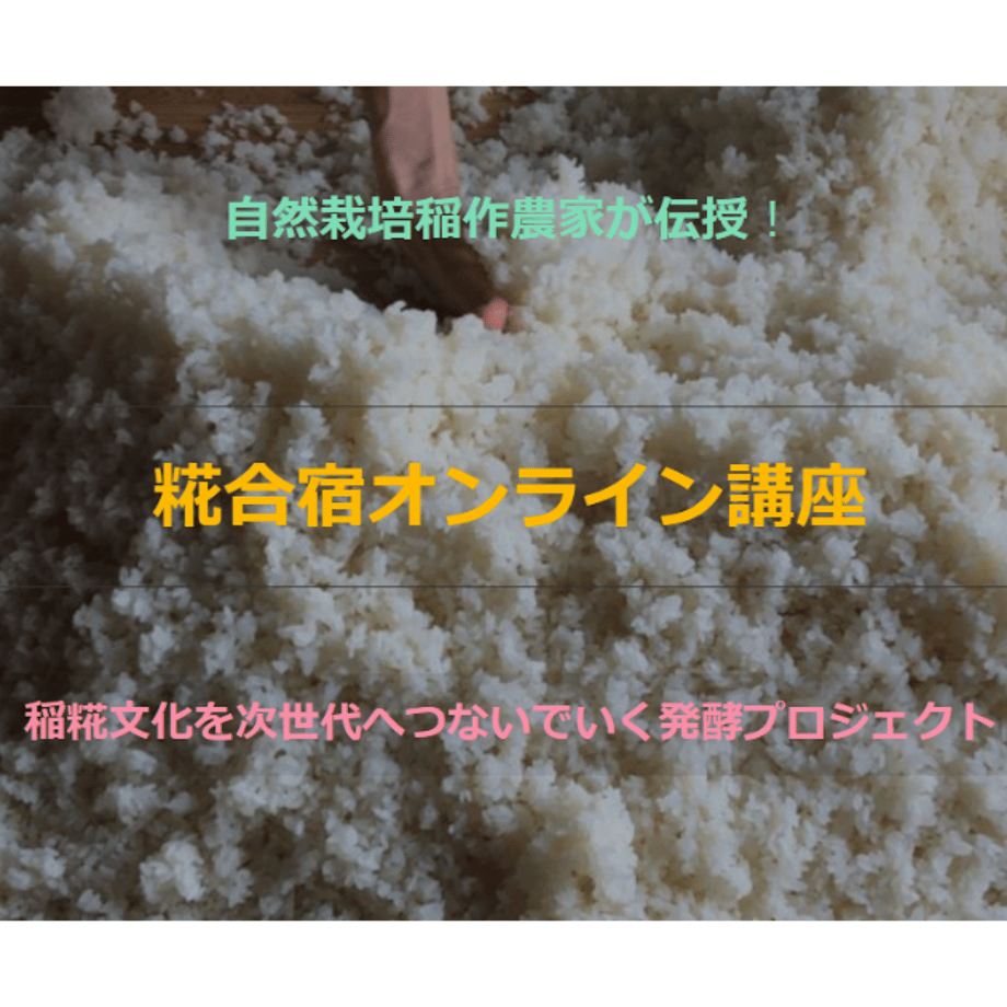 676a8314ff119b07de0a69b3