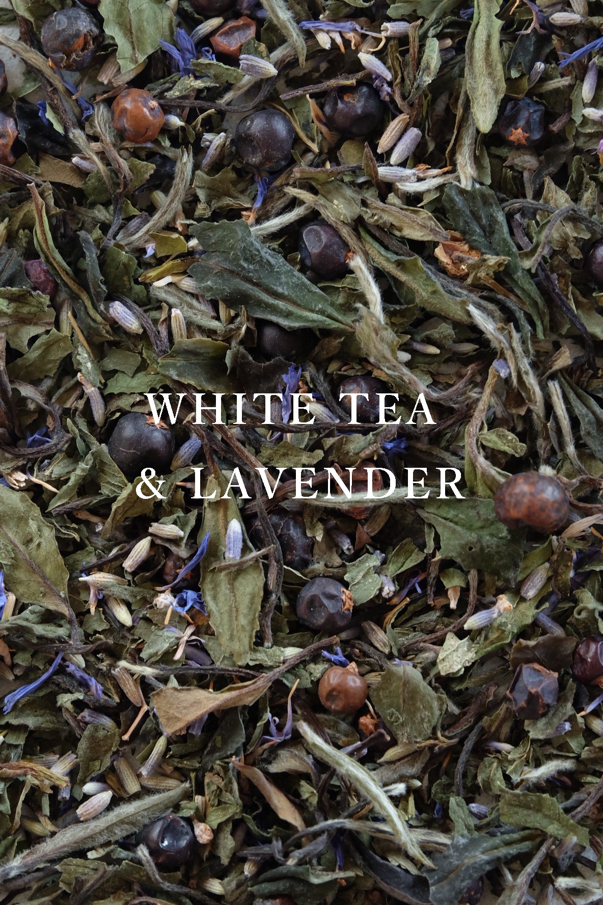 WHITE TEA & LAVENDER | TSUKAMOTO TEA COMPANY