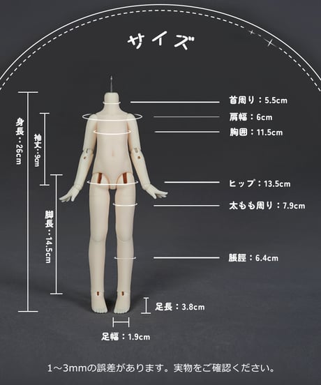 【カスタマイズ】DolleyDoll 1/6スケールドール素体 へちま体  ボデイ26cm   ※注文後2カ月後発送予定※