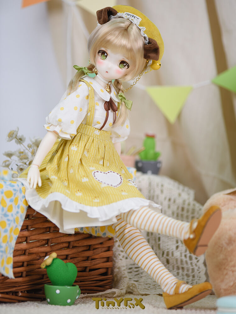 即納在庫】TinyFox 人見知りのワンちゃん リタ フルセット 1/4スケール