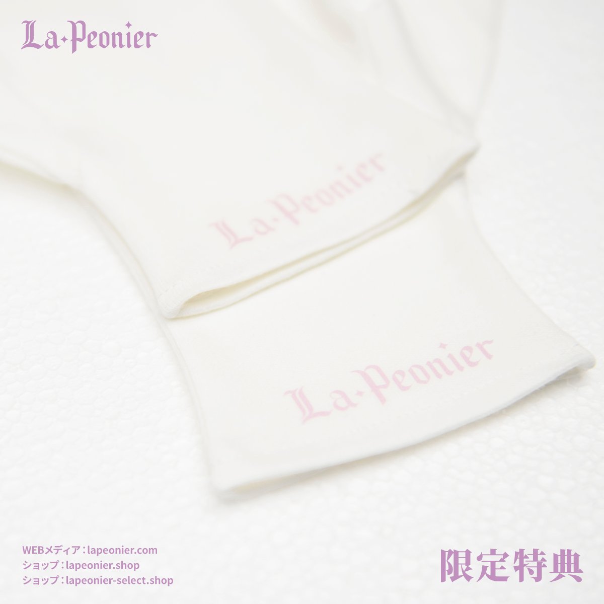 LaPeonierコラボ企画】TinyFox×適当緑 猫耳量産型女子・黒猫 1/6 
