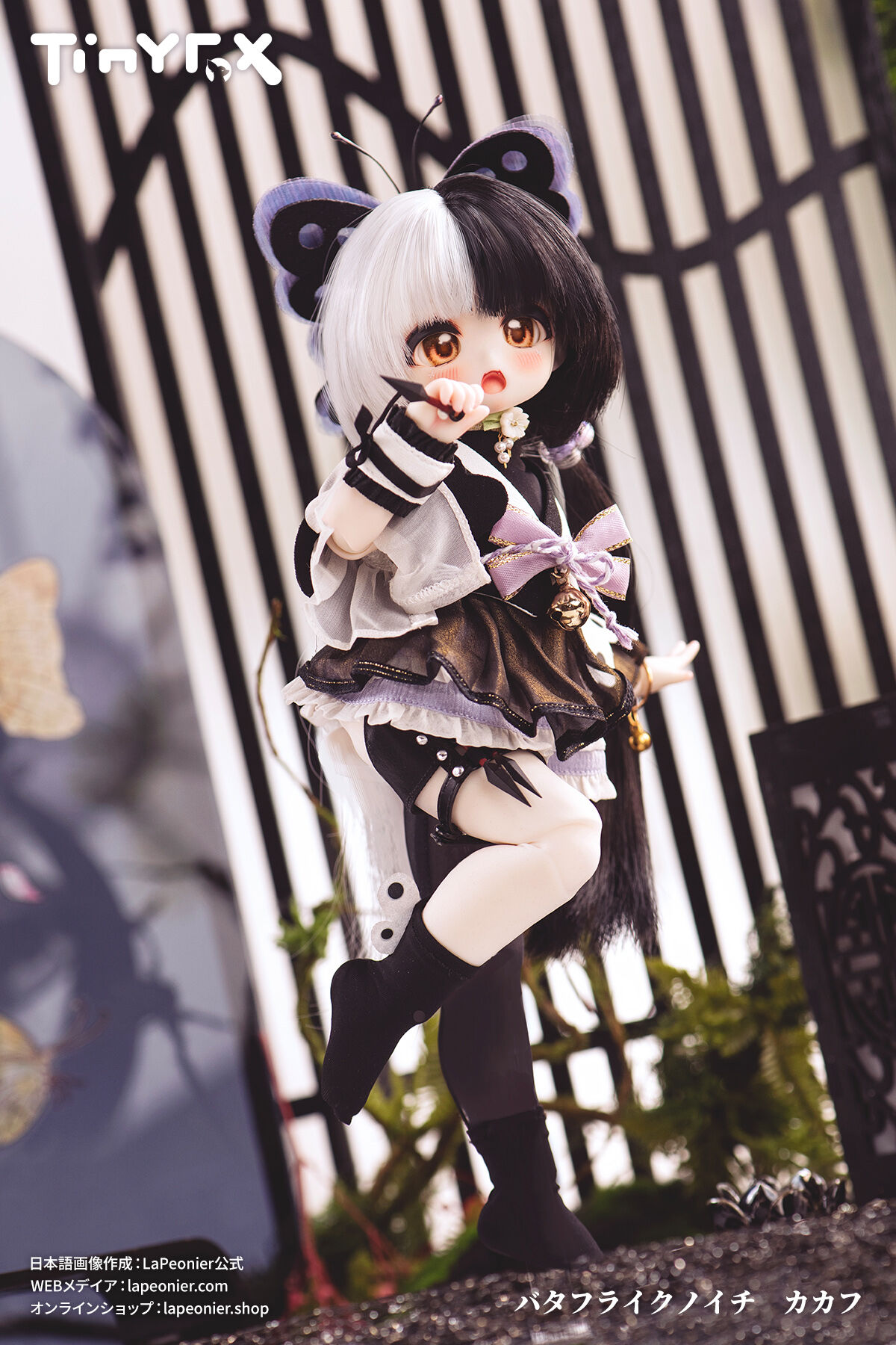 メーカー蔵出し即納品】TinyFox バタフライクノイチ カカフ 1/6 メーカー蔵出し即納品】TinyFox バタフライクノイチ カカフ 1/6