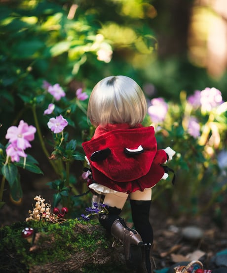 【再販予約】TinyFox 幼い赤狼 リトルアンナ 1/6スケールMJDドール フルセット ※注文後一ヶ月以内発送予定※送料無料