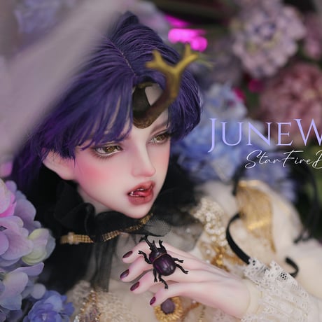 【新作予約】StarfireDoll JuneWoo 1/3スケールBJDドール用フルメイクヘッド※数限定受注生産商品※注文後三ヶ月以内発送予定※送料無料※