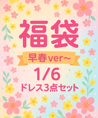 【早春福袋】1/6サイズドール用ドレス福袋 ※2026年3月発送※送料無料※限定数販売※TinyFox キャラクリアファイル付