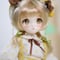 【即納在庫】TinyFox 人見知りのワンちゃん リタ フルセット 1/4スケールMJDドール※送料無料※