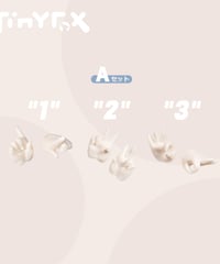 【カスタマイズ】TinyFox  1/6スケールドール用造形ハンドパーツセット 白巧ホワイト※注文後1-2か月以内発送予定