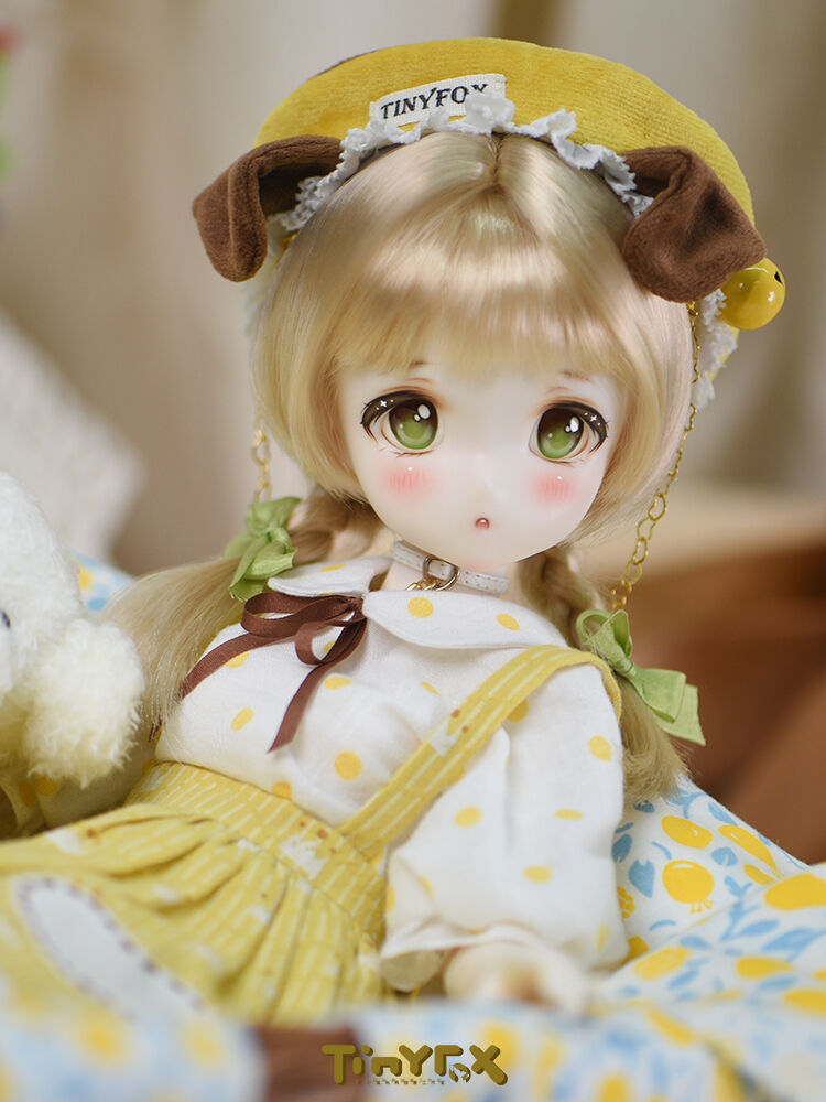 即納在庫】TinyFox 人見知りのワンちゃん リタ フルセット 1/4スケール