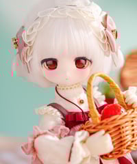 1/6 ドール Amazon.co.jp: 【Z&LDOLL】 1/6 BJD 球体関節人形 ドール BJD
