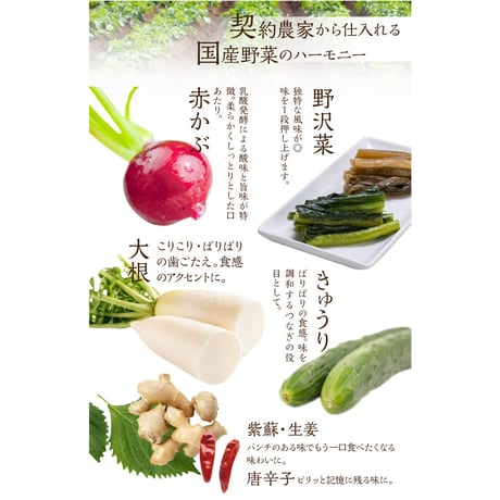 めしどろぼ漬け 3袋
